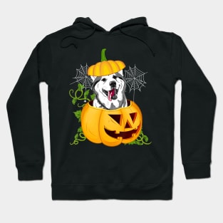 Funny Cute Pumpkin Halloween Dog Witch Pumpkin Husky Dog Hoodie